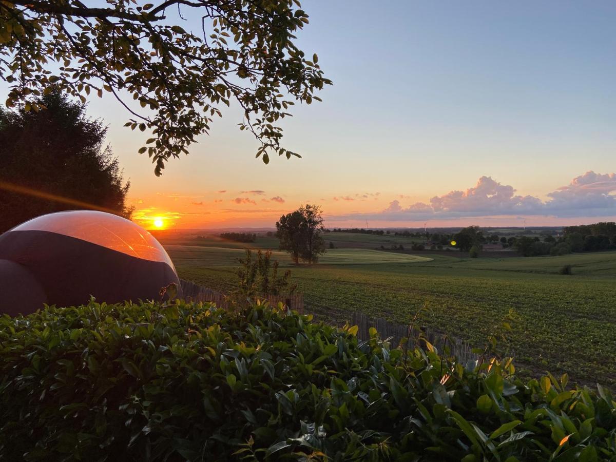 Bulle D Evasion Silly Pres De Pairi Daiza Bed and Breakfast Buitenkant foto